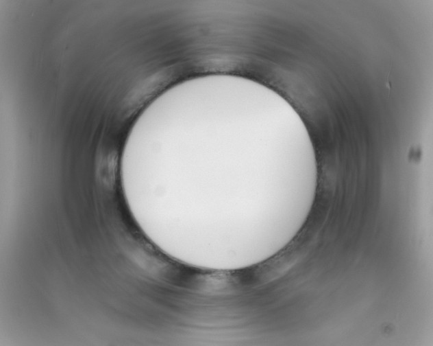 X0000090740118200708172015