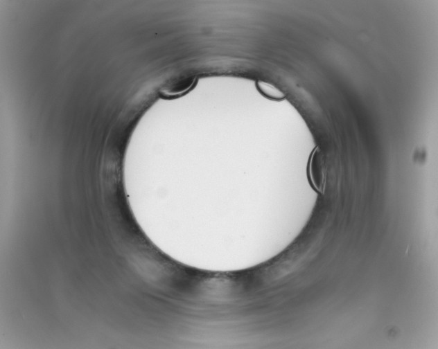 X0000090740119200708172015