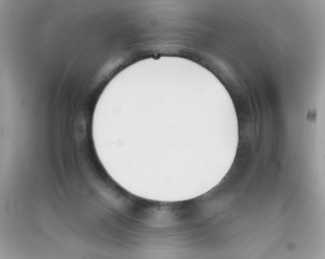 X0000090740120200708172015