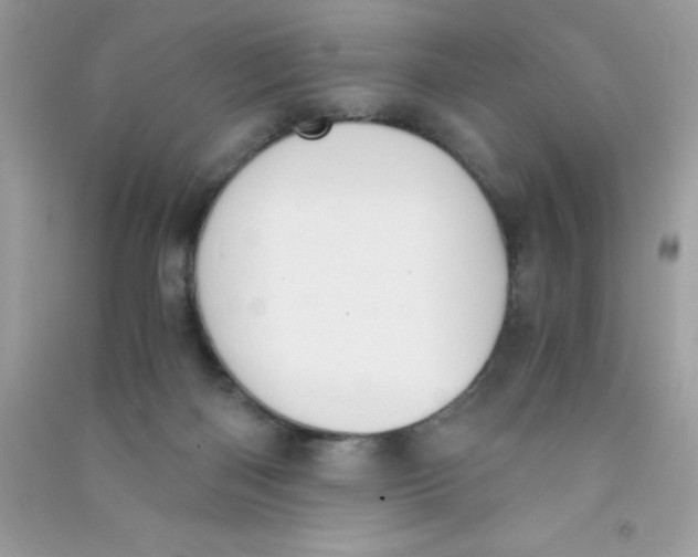 X0000090740122200708172015