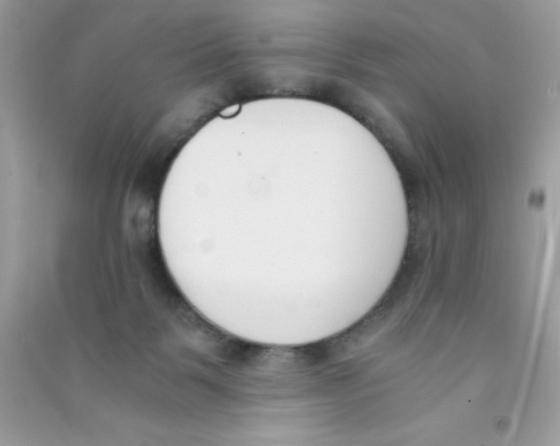 X0000090740123200708172015