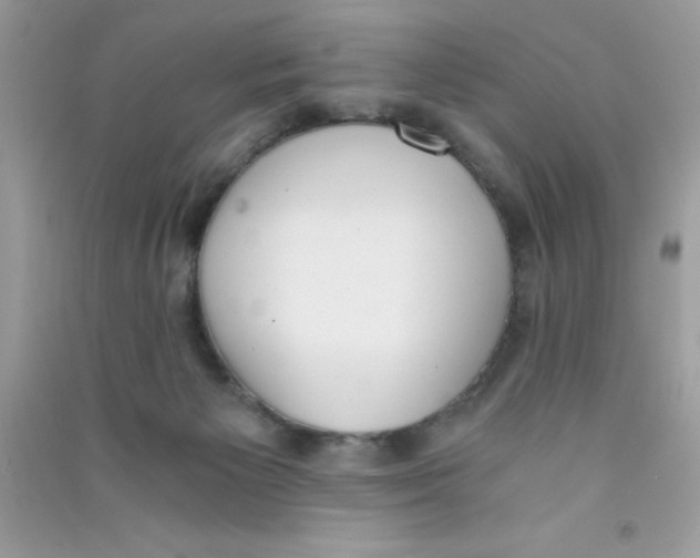 X0000090740125200708172015