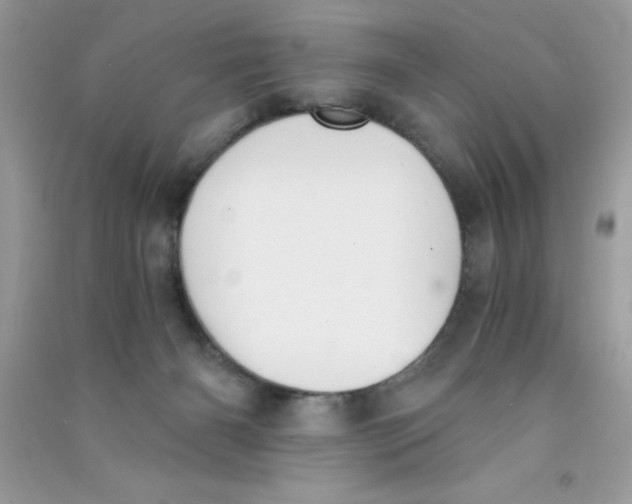 X0000090740126200708172015