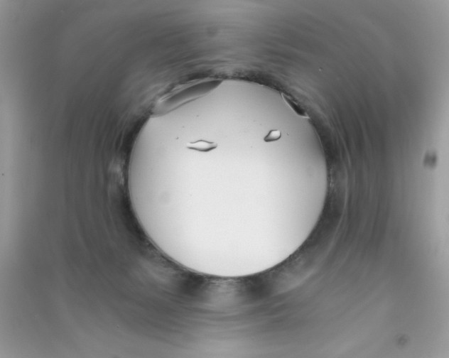 X0000090740127200708172015