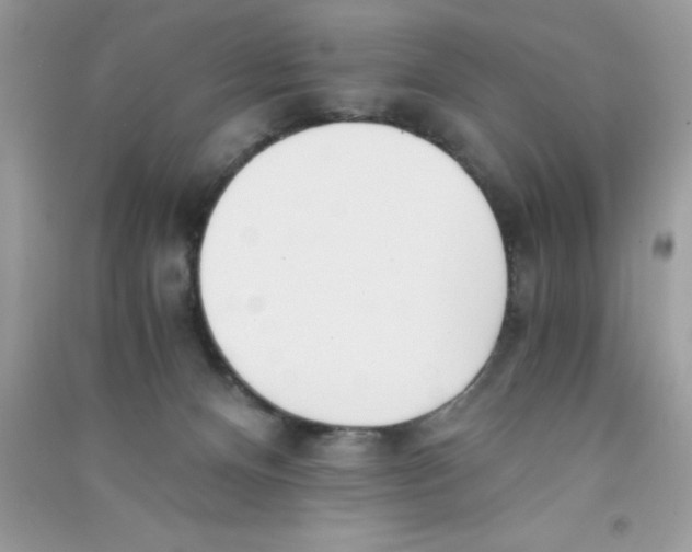 X0000090740128200708172015