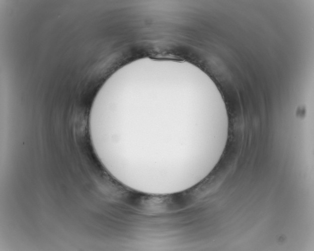 X0000090740129200708172015