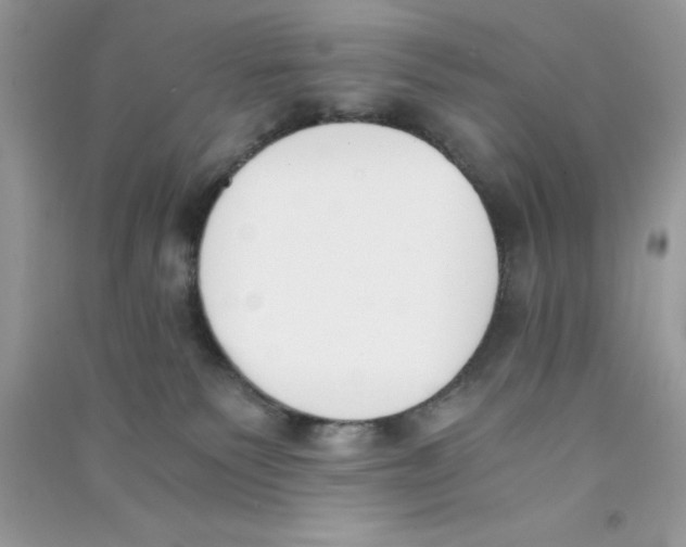 X0000090740135200708172015