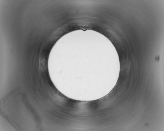 X0000090740136200708172015