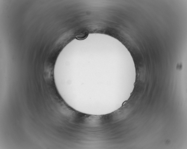 X0000090740138200708172015