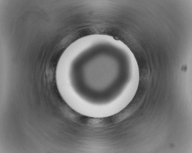 X0000090740139200708172015