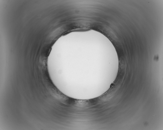 X0000090740141200708172015