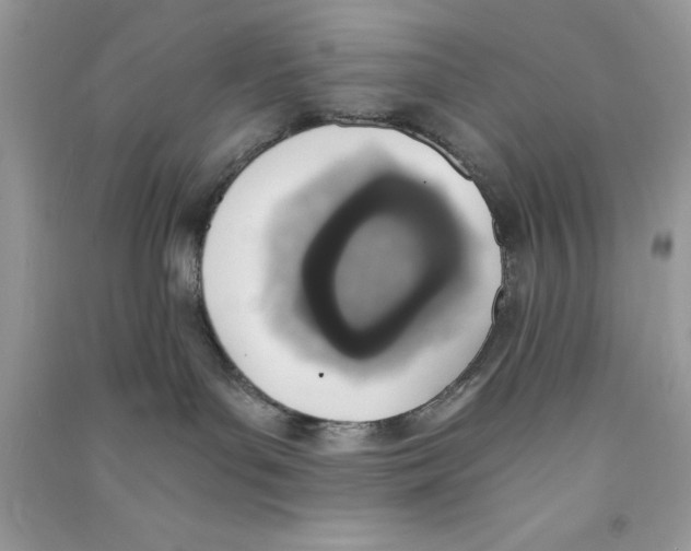 X0000090740143200708172015