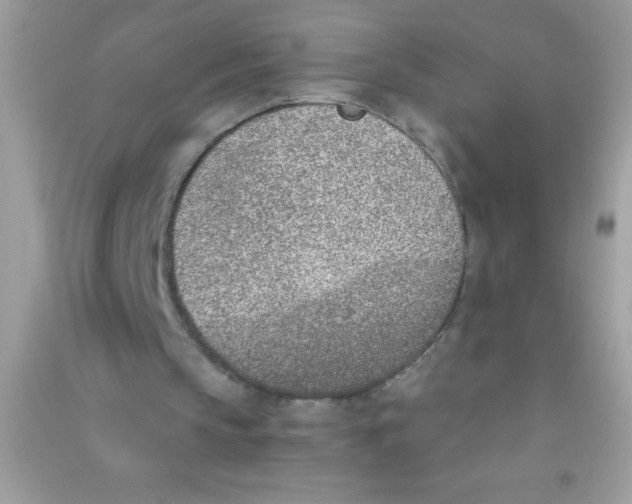 X0000090740145200708172014