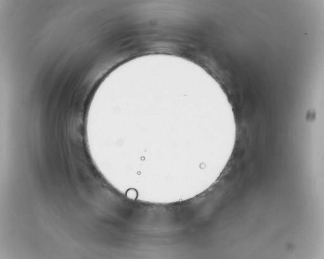 X0000090740146200708172014