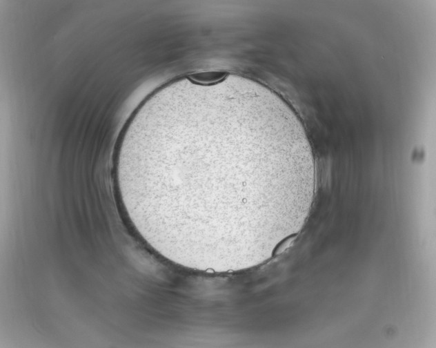 X0000090740147200708172014