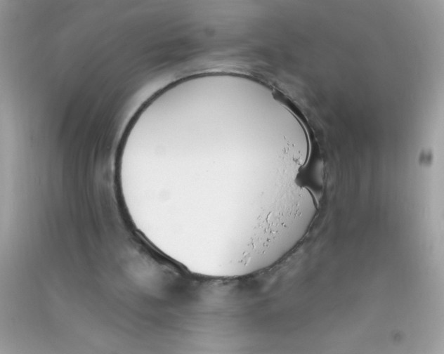 X0000090740148200708172014