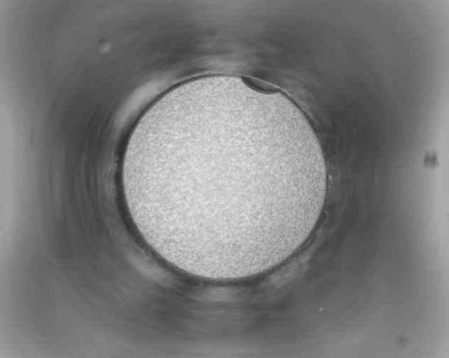 X0000090740149200708172014