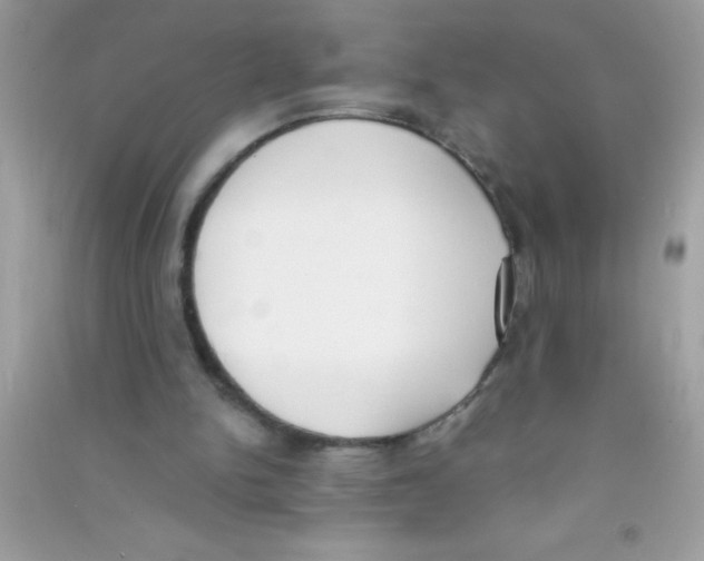 X0000090740150200708172014