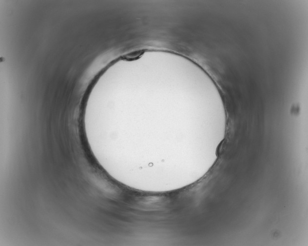 X0000090740151200708172014