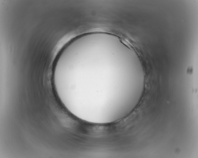 X0000090740152200708172014