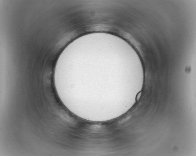 X0000090740153200708172014