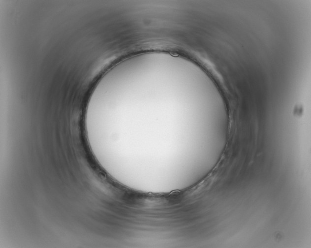 X0000090740154200708172014