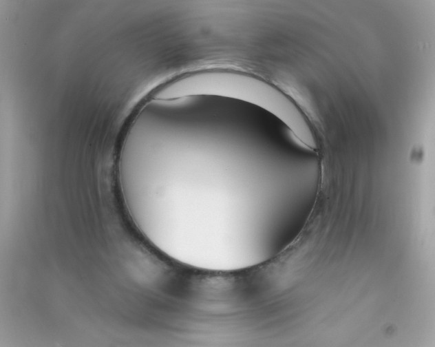 X0000090740156200708172014