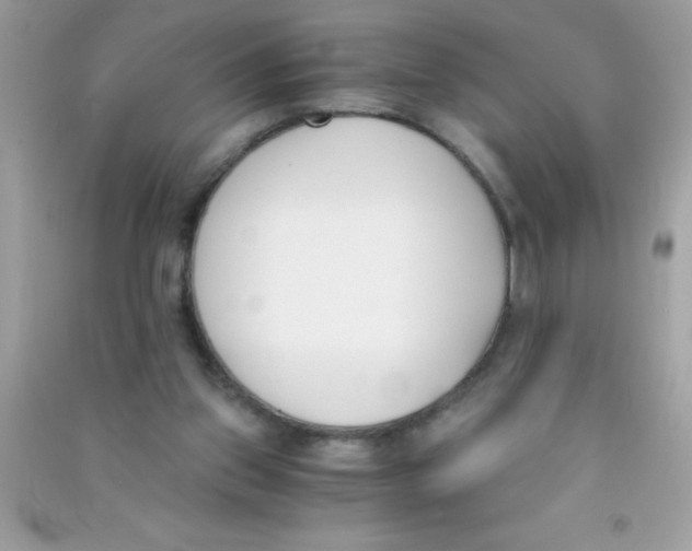 X0000090740157200708172014