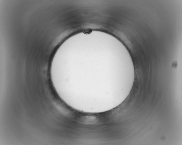 X0000090740159200708172014