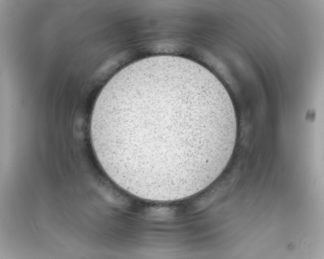 X0000090740161200708172014