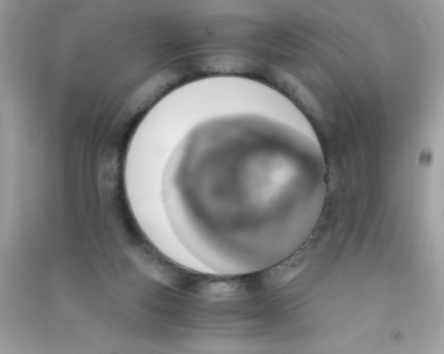 X0000090740163200708172014