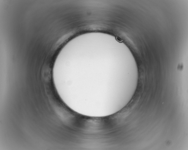 X0000090740164200708172014