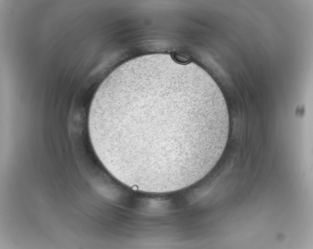 X0000090740165200708172014