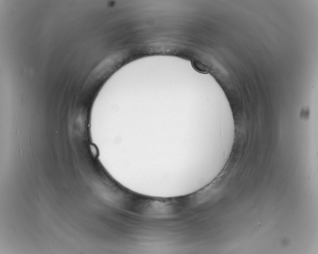 X0000090740166200708172014