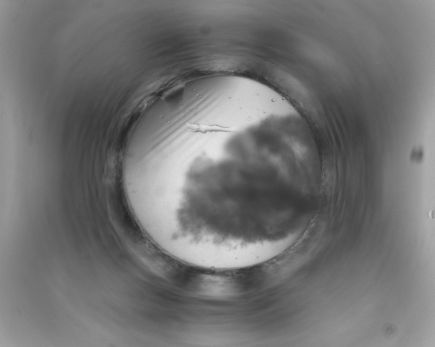 X0000090740167200708172014