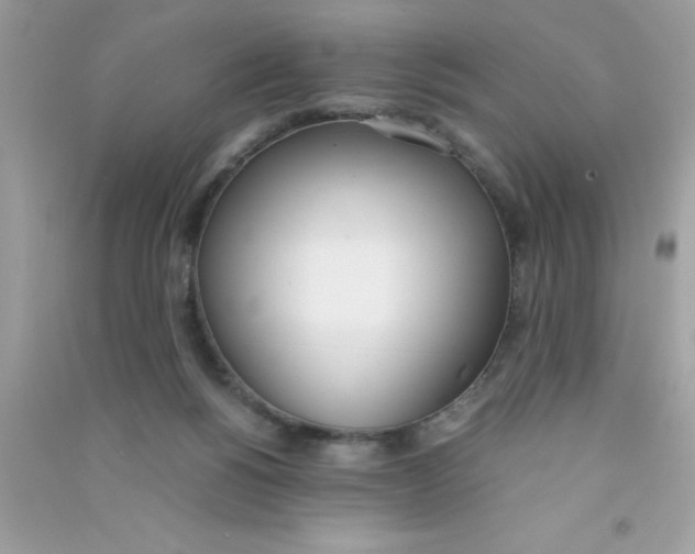 X0000090740168200708172014