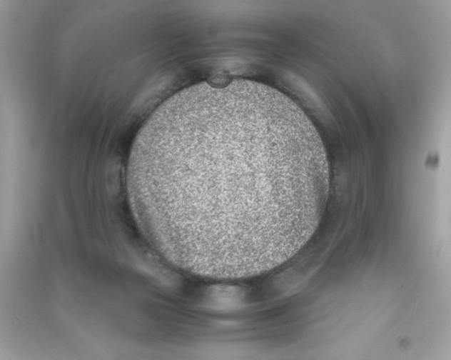 X0000090740169200708172014