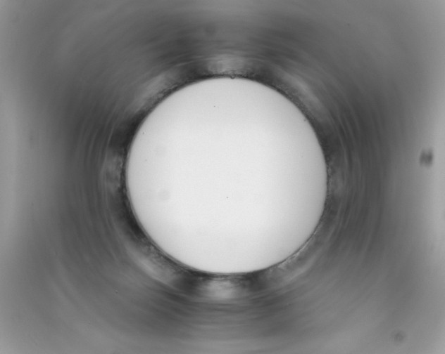 X0000090740171200708172015