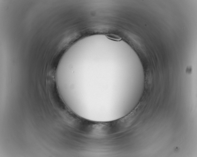 X0000090740172200708172015