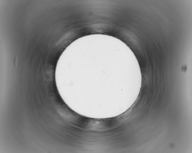 X0000090740174200708172015