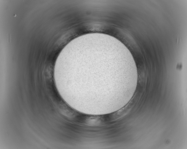 X0000090740175200708172015