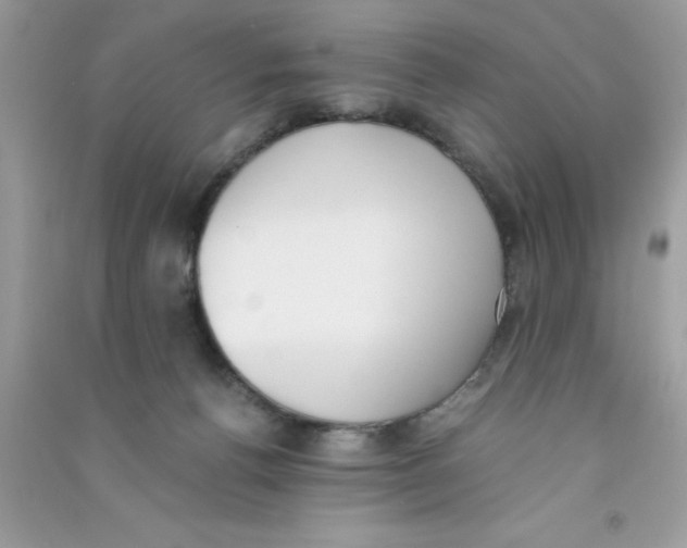 X0000090740176200708172015