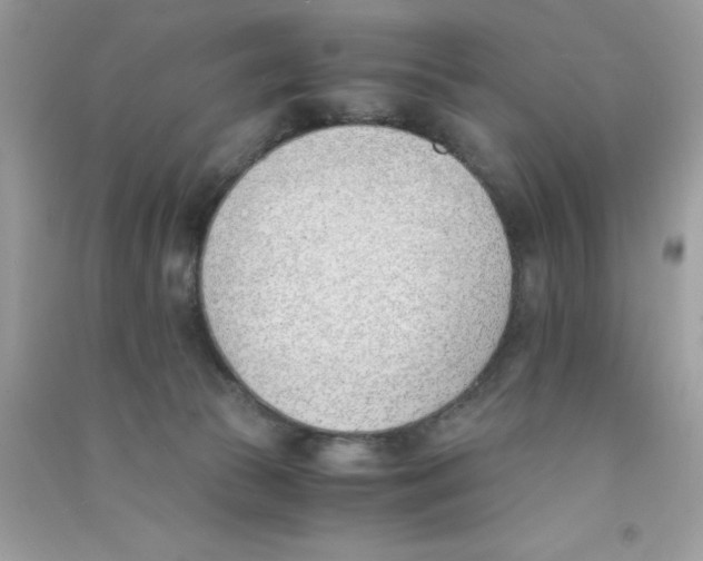 X0000090740177200708172015