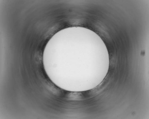 X0000090740179200708172015