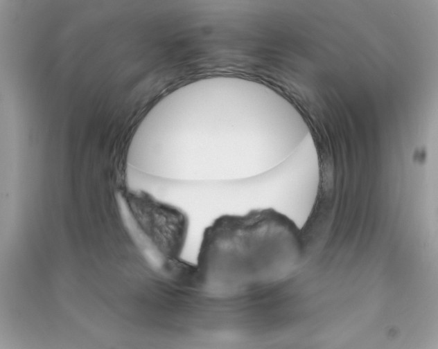 X0000090740181200708172015