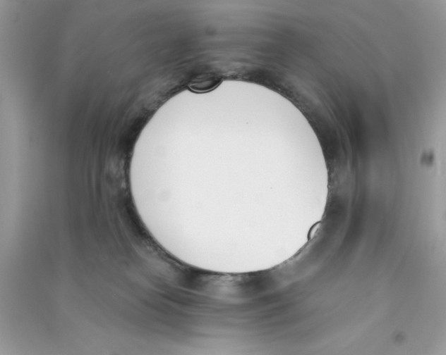 X0000090740182200708172015