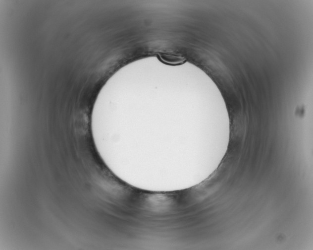 X0000090740183200708172015