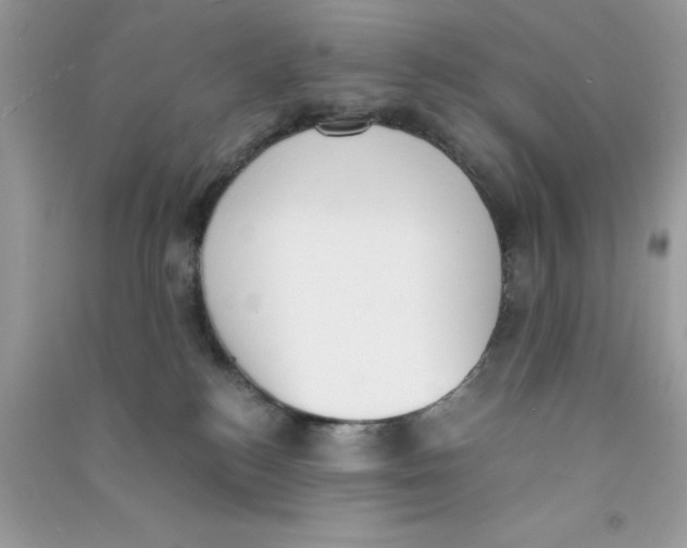 X0000090740184200708172015