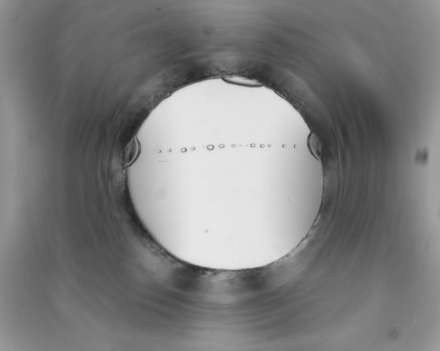 X0000090740186200708172015