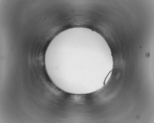 X0000090740187200708172015